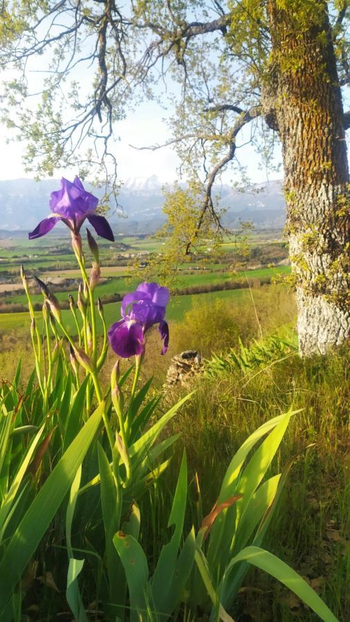 Casa Rural Tejedor Morillo de Monclus Buitenkant foto